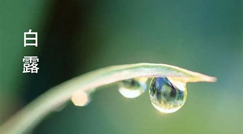 二十四節氣-白露 | 白露至,秋實美【杭州易造】