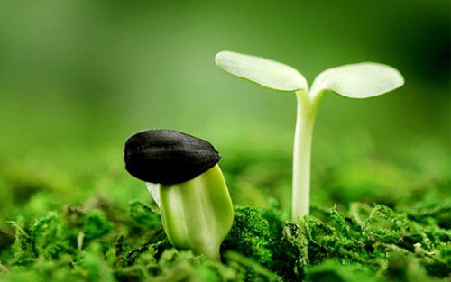 二十四節氣 | 驚蟄到,春意濃【杭州易造】 二十四節氣 | 驚蟄到,春意濃【杭州易造】