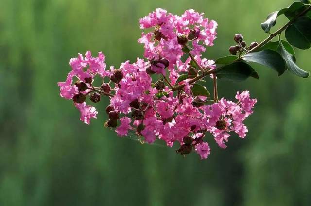 植樹節-春風十里，正“植”有你【杭州易造】