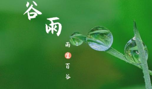 谷雨|雨生百谷,萬象更新