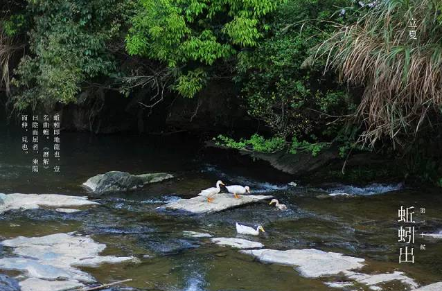 立夏六｜春光忽盡，夏木成陰【杭州易造】
