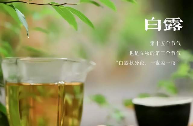 二十四節氣-白露 | 白露至,秋實美 二十四節氣-白露 | 白露至,秋實美