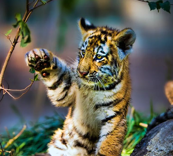 驚蟄-叫醒甜睡的春-易造防雷 驚蟄-叫醒甜睡的春-易造防雷